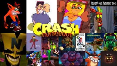 Crash Bandicoot | The Ultimate RPG