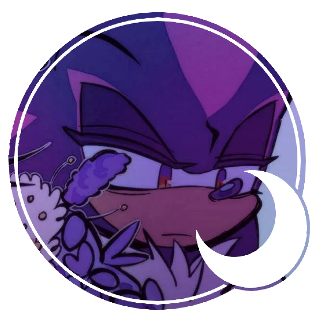 Shadow the Hedgehog 。・゚✫