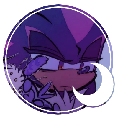 Shadow the Hedgehog 。・゚✫