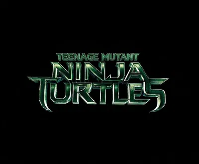 Bayverse TMNT