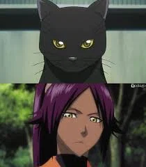 Yoruichi Shihouin | Cat and Mouse