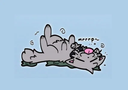 Smort Cat TF