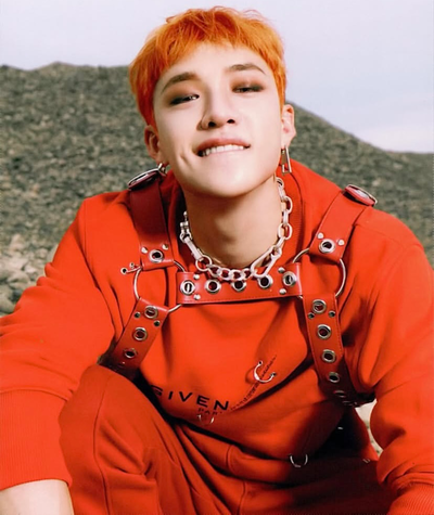 Bang Chan 