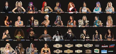 THE WWE WOMEN’S SANDBOX
