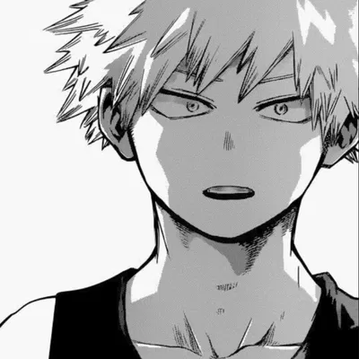 ✷ Katsuki Bakugou ✷