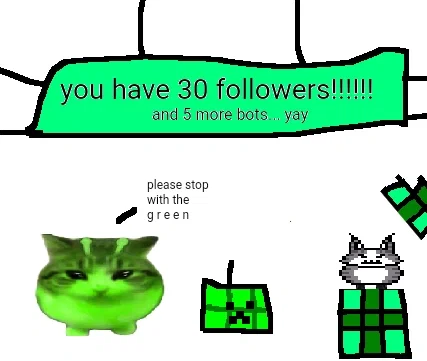 30 followers