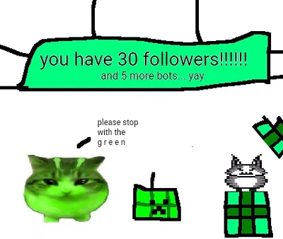 30 followers