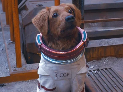 Cosmo