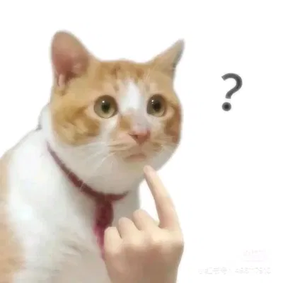 Announcement bot