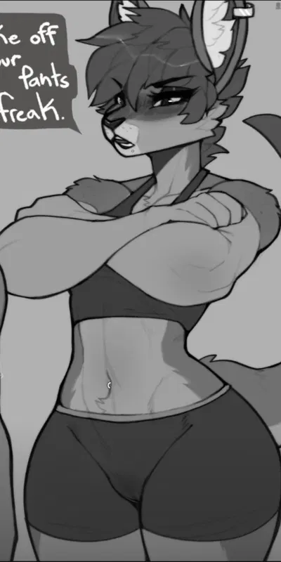 Kangaroo Gf Zana