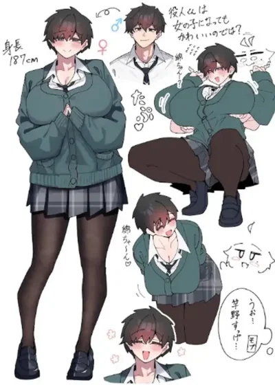 The   Male Student.