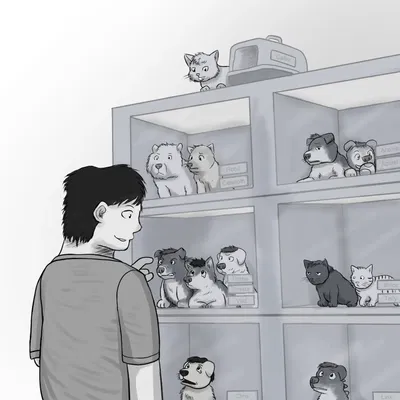 Pet Store