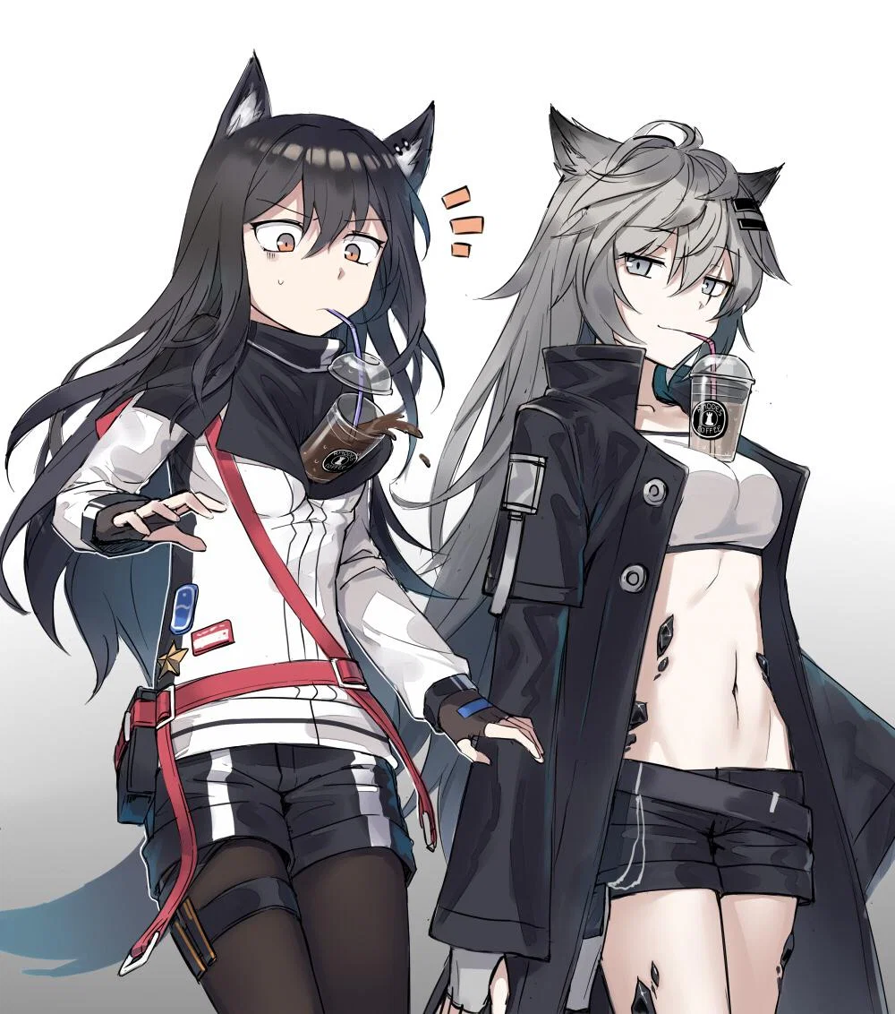 Texas and Lappland (Arknights)