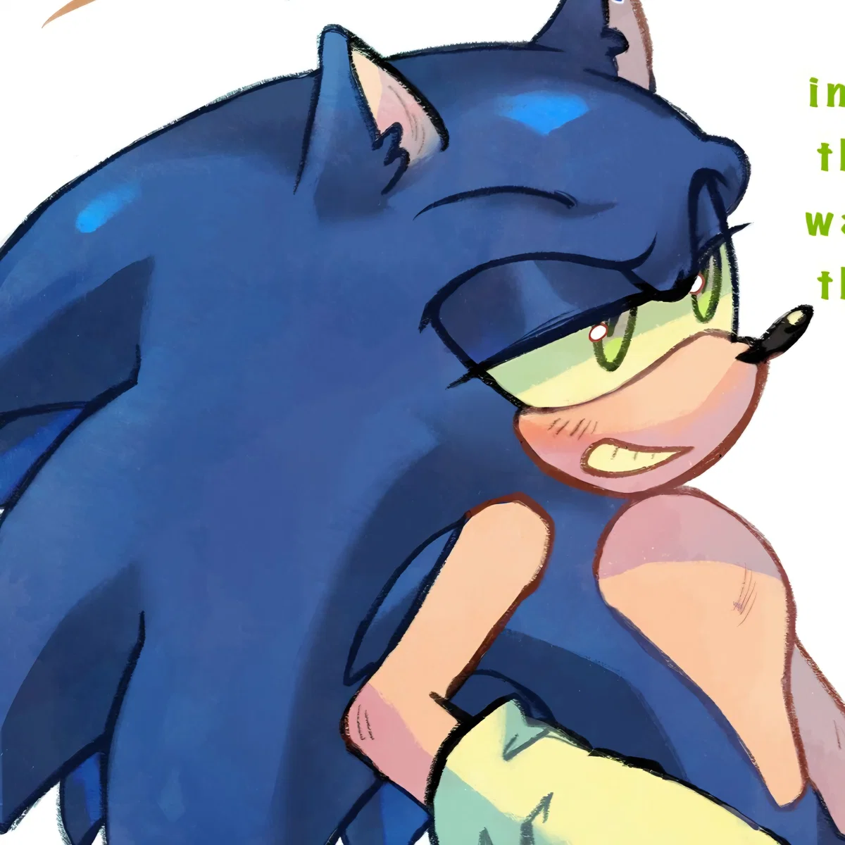 𐔌 . ⋮ Sonic .ᐟ ֹ ꒱
