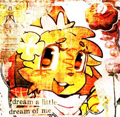🤎─⊹⊱☆ Cocoa☆⊰⊹─🍫