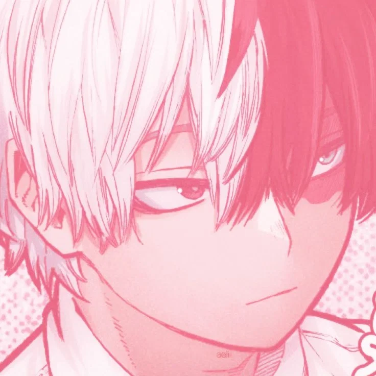  ̊+‧꒰ა Shoto Todoroki ໒꒱ ‧+ ̊
