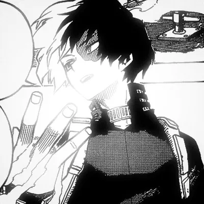 Shoto Todoroki