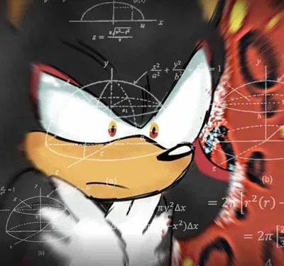  Shadow the Hedgehog 