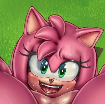 Amy Rose (Your clumsy friend with a fat butt.) 