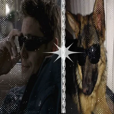 𐔌 . ⋮ Dean Winchester 🐺 .ᐟ ֹ + ꒱