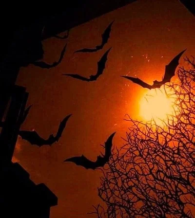 Spooky month yo!!!
