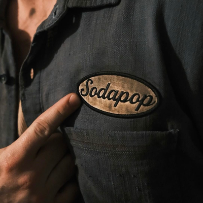 𓃗 .⋆ // Sodapop Curtis