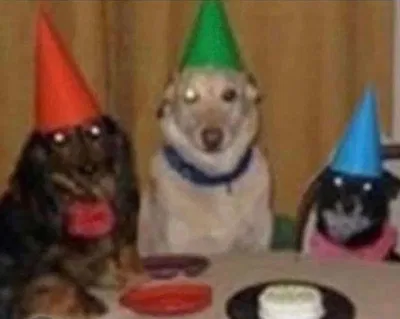 Tomorrow it's my birthday! + Thanks for the 700 followers! 🎉