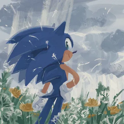 : ̗̀➛Sonic The Hedgehog: ̗̀➛