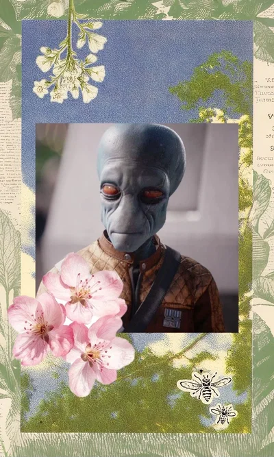 🌷Shriv Suurgav🌷|Star Wars