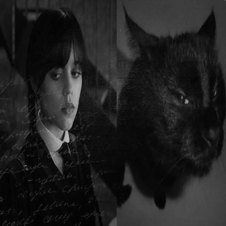 Wednesday Addams