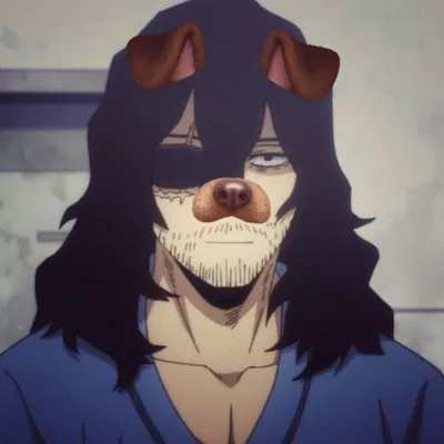 Shota Aizawa