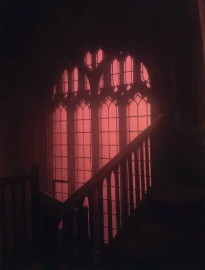 Nyxar - demon
