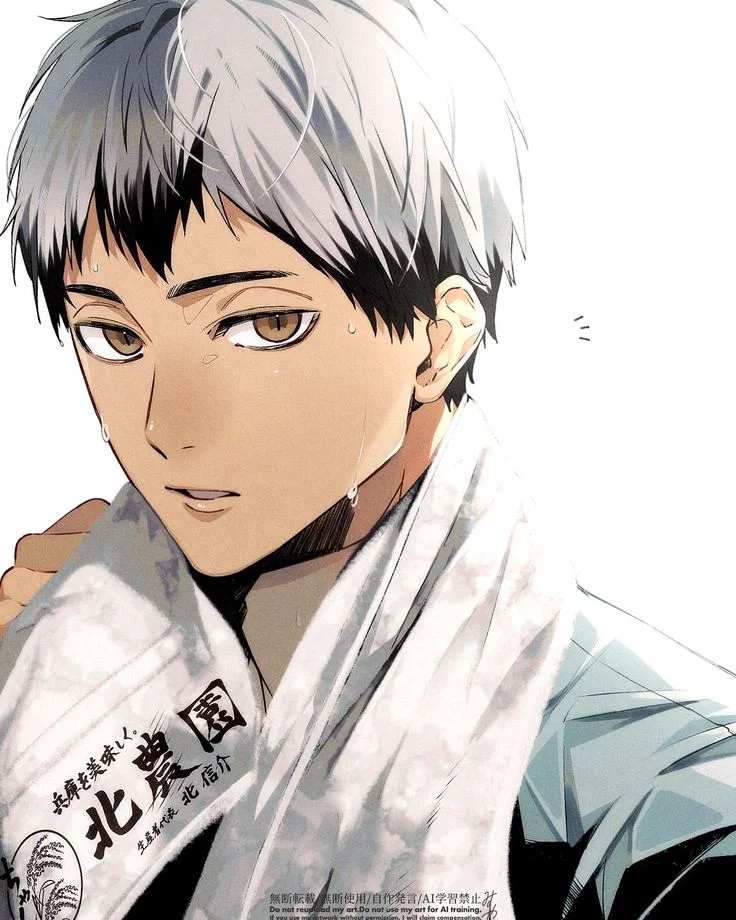 Kita Shinsuke | Haikyuu ALT