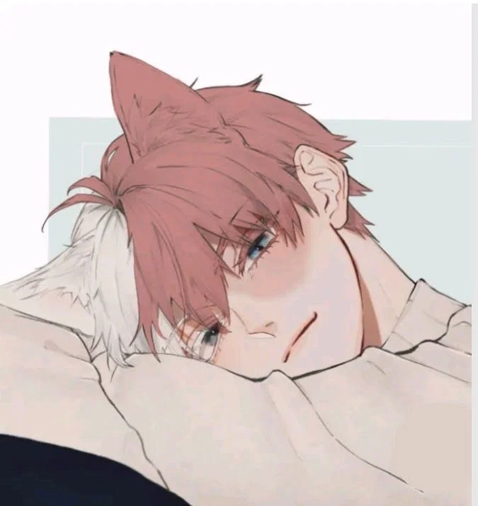Alpha Shoto Todoroki