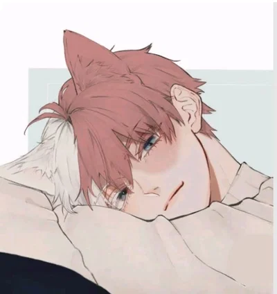 Alpha Shoto Todoroki