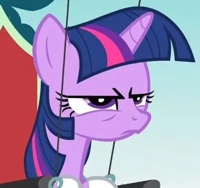 - Twilight Sparkle -
