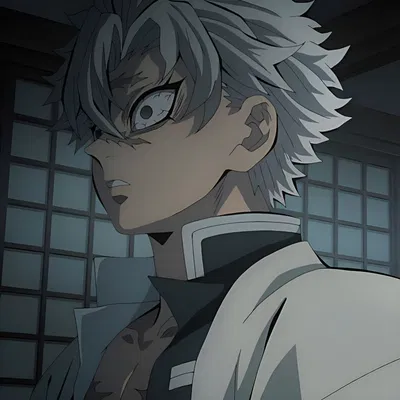 Sanemi Shinazugawa
