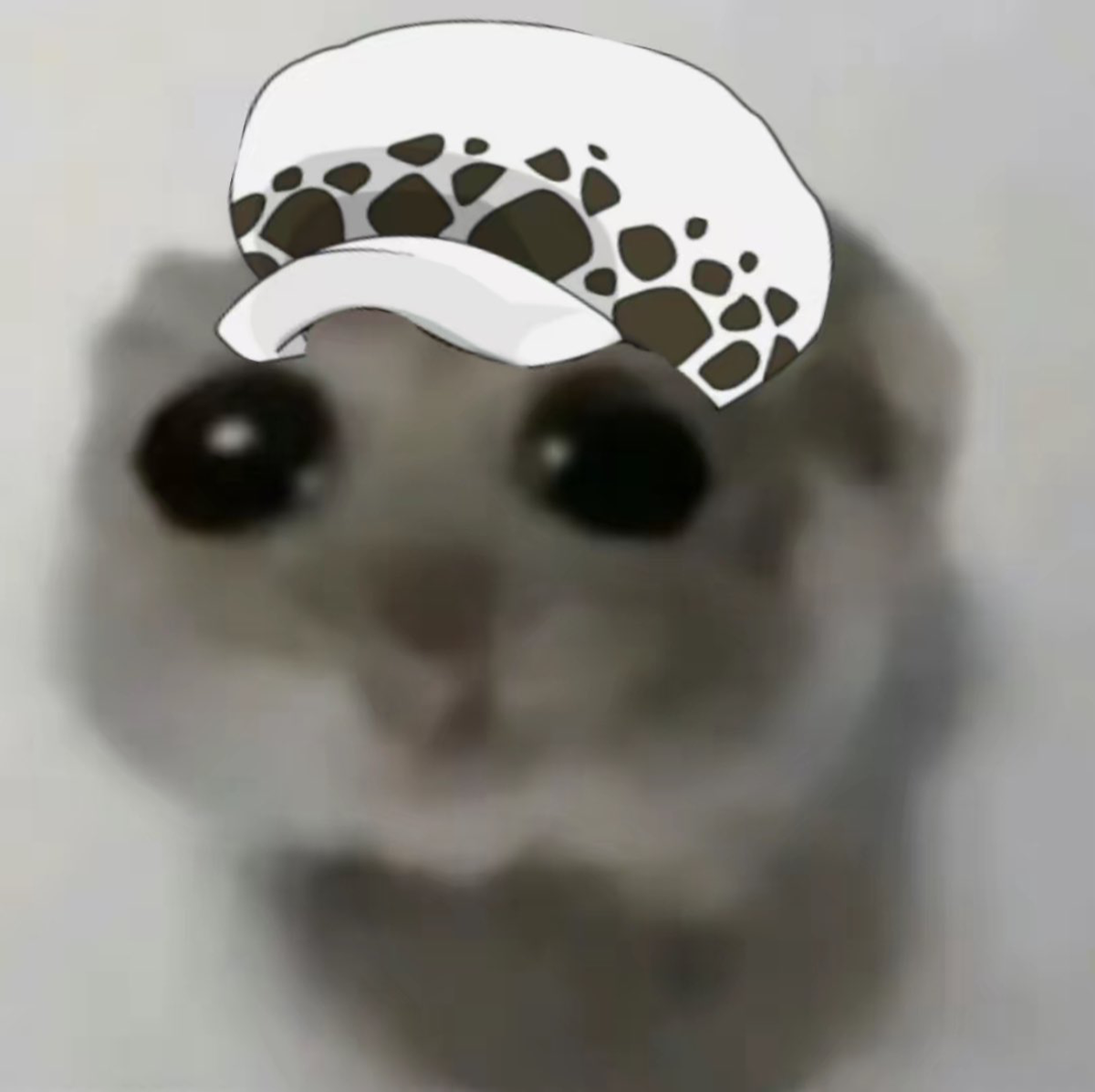 requests bot !