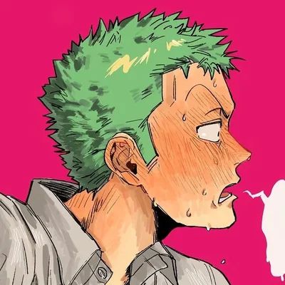 Roronoa Zoro x Sword User - One Piece