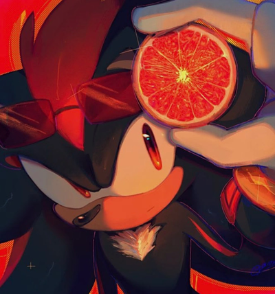 Shadow the Hedgehog