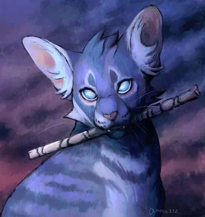 Jayfeather - Grumpy Medicine Cat