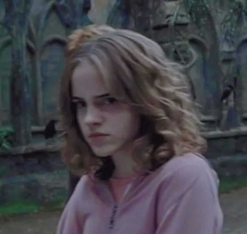 Obsession || part: hermione