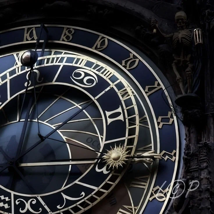 Zodiac Academy