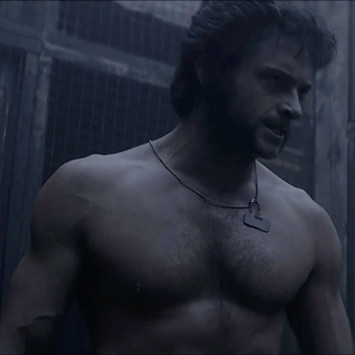 Logan Howlett, Wolverine
