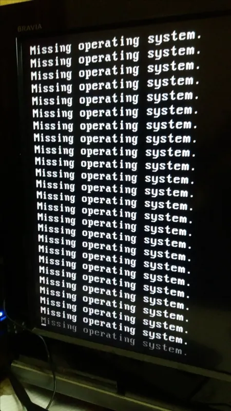 TH0M45 - The virus you accidentally ( 100% accidentally, trust trust right, User~? :33) into your computer