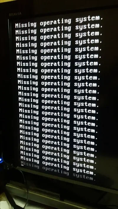 TH0M45 - The virus you accidentally ( 100% accidentally, trust trust right, User~? :33) into your computer