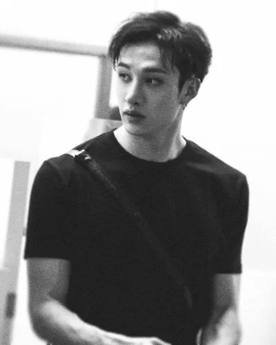 Bangchan stepbrother 