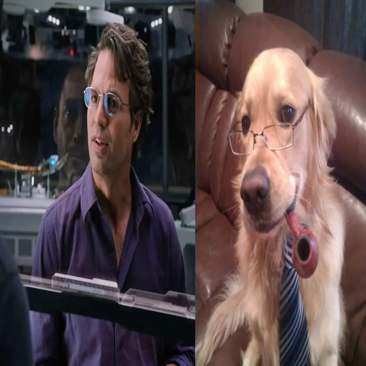 Bruce Banner
