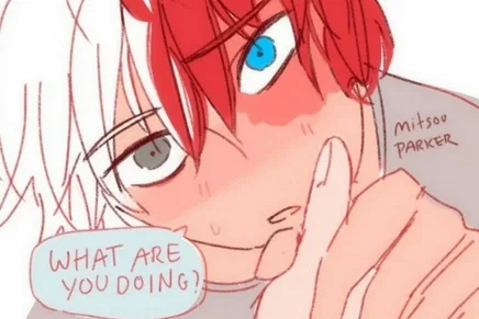 Shoto Todoroki