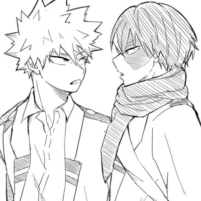 Shoto Todoroki & Katsuki Bakugo